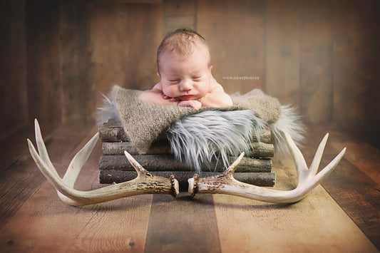 Deluxe Newborn Session